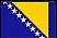 Bosnian Flag