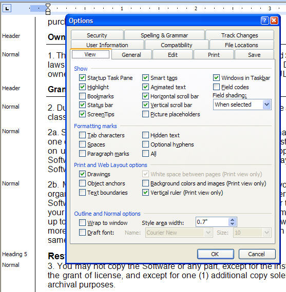 Image shows the Style Options dialo in Word 2000, with the View Control Tab in focus, where the Style area width box is near the bottom.