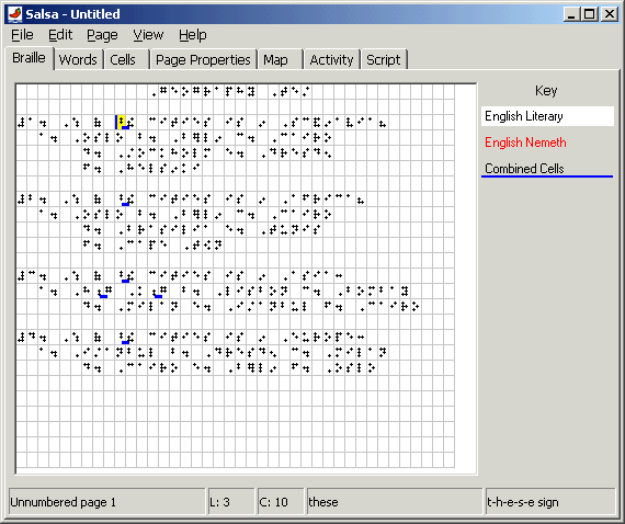 Screen shot of Salsa with a document open in Braille View