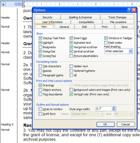 Image shows the Style Options dialog in Word 2000, with the View Control Tab in focus, where the Style area width box is near the bottom.