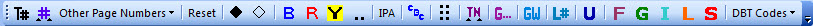 BANA Braille 2014 Character styles toolbar