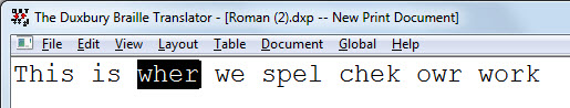 Image shows example of where DBT's Spell checker has found a miss-spelled word