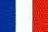 French Flag