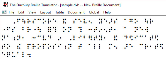 Image shows DBT screen with braille font displayed.