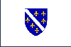 Bosnian Flag Bosnian Flag