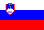 Slovenian Flag