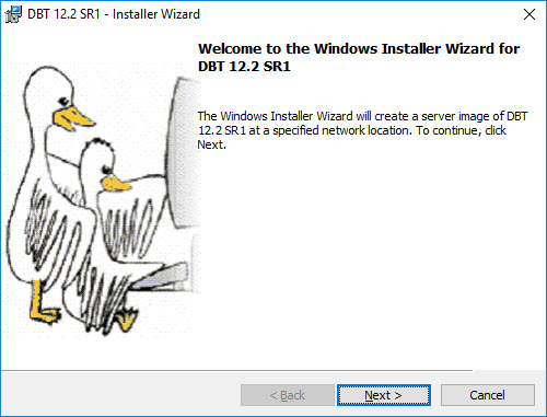 Welcome to the Windows Installer Wizard for DBT 11.3