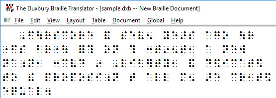 Image shows DBT screen displaying the Simbraille font.