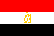 Flag of Arab World