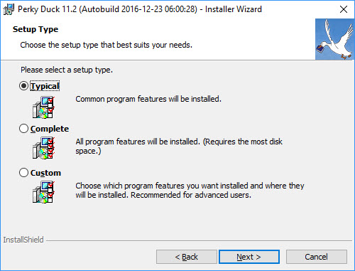 Simple Install: Setup Type