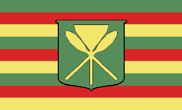 Flag of old Hawaii