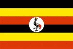 Luganda translation