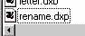 Renaming the file
